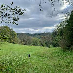 Peekaboo Meadows