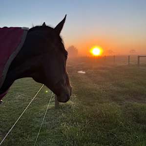 Don’t forget to catch a sunrise. They are breath taking
