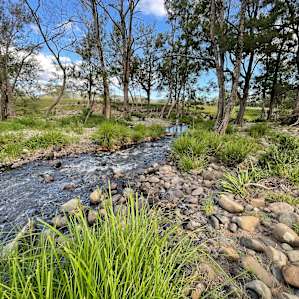 The Platypus Pool - Karuah River