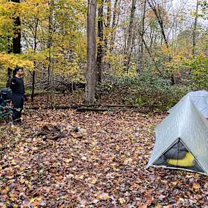 site 3