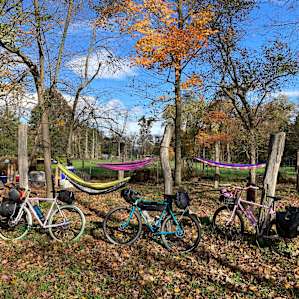 communal area with hammocks and picnic tables