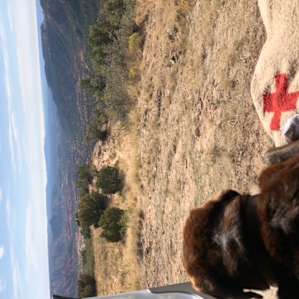 Lovin the view!