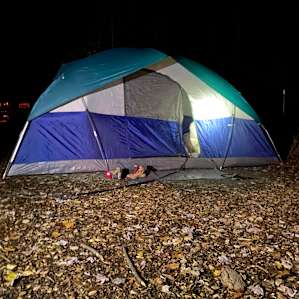 Little Creek Tent Site