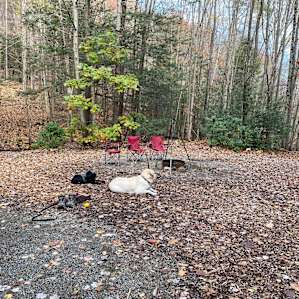 Little Creek Tent Site