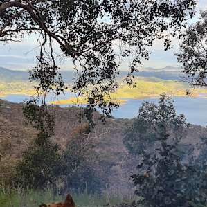 Flying fox lookout summit!