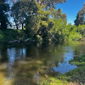 Thomson River Flat