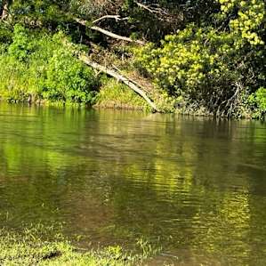 Thomson River Flat
