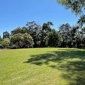 Looking away from the river towards the northeast. Note the nice flat grass