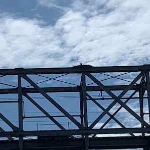 Eagles nest with baby on rail bridge