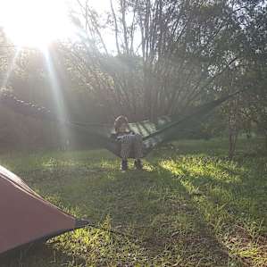Relaxing ti trees