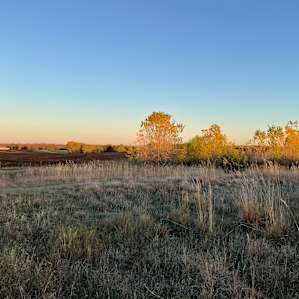 The Kansas Prairie