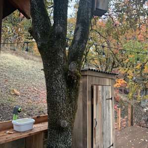 Treehouse