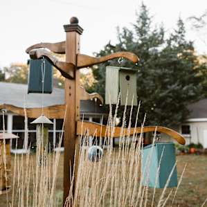 Cute bird houses near the camp ground.