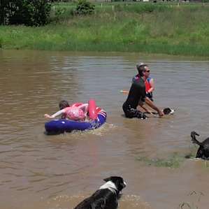 fun in the water for people and dogs