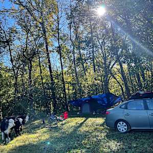 Lil Farm in the Sip