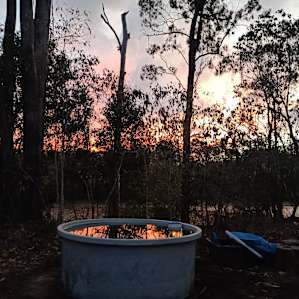 Charlie Darwins Nature Park