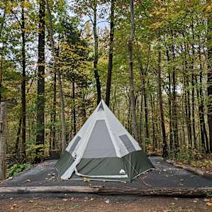 Birdsong Camp: Near Shenandoah NP