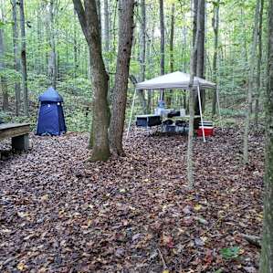 Creekside Tent Platform- Owl