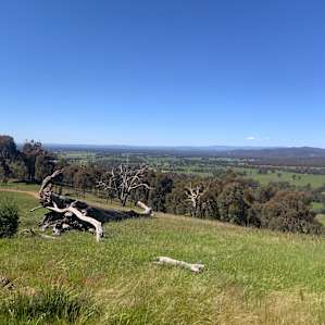 Camping at Hut with a View