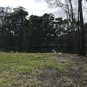 Wylaway Camp