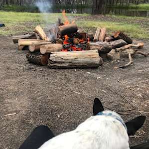 Wylaway Camp