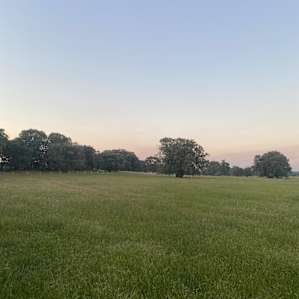 Perron Estate Camping