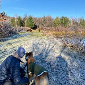 Sunny fall morning exploring the grounds