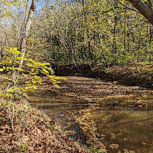 The Oasis at Harmon Creek Farms