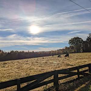 The Oasis at Harmon Creek Farms