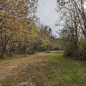 The Oasis at Harmon Creek Farms