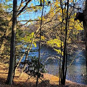 Peace and Quiet Along the River!