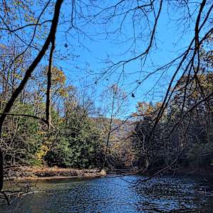 Peace and Quiet Along the River!
