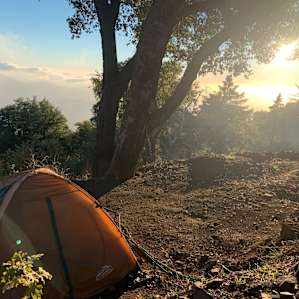 Site 6