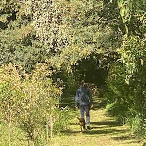 Lovely tree lined short walk down to the creek