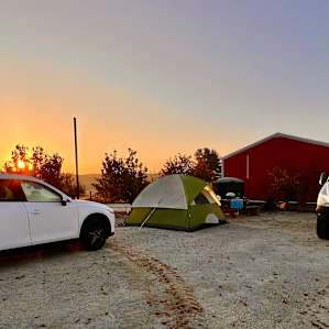Campsite in the Vineyard