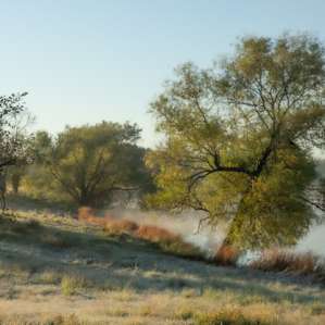 Early morning view from camp site toward the water