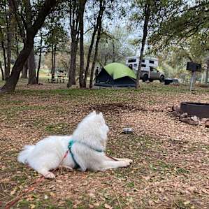 Settling in at camp