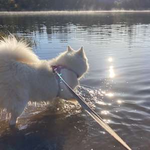 Checking out the lake