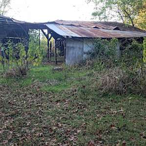 Tumble-down cow shed site 1.
