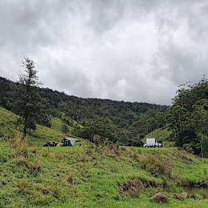 Frog's Hollow Bush Camping