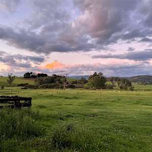 Galloping Gypsy Getaway Camp/Van
