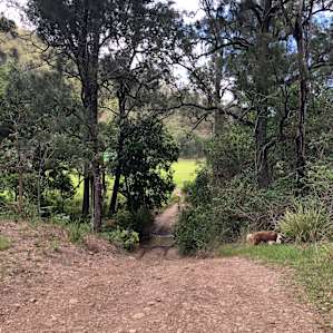 Echo Valley, Amamoor Creek