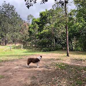 Echo Valley, Amamoor Creek