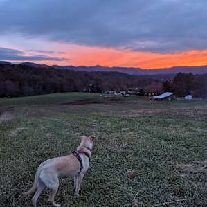 Primitive Farms Camping