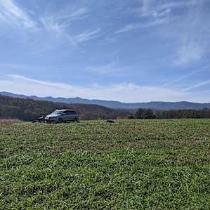 Primitive Farms Camping