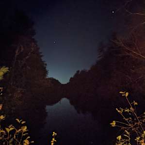 Dreamweaver Pond