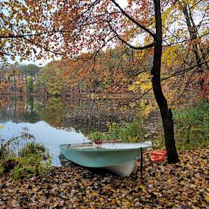Cokertown Campground- lakeside camp