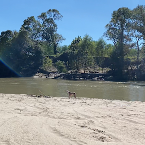 Oxbow Paradise