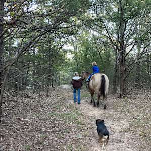 Tent Camping at Nature & Horse Camp