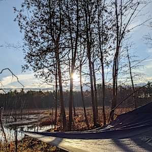 Sunrise over Marsh